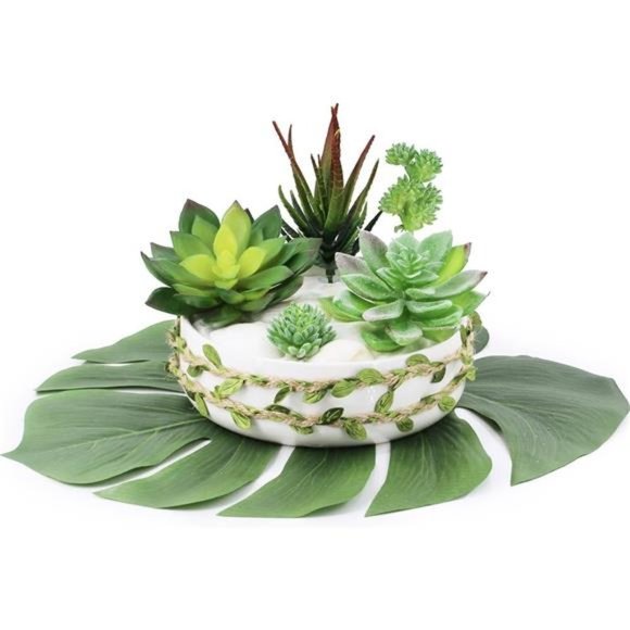 5Pcs Assorted Artificial Succulents Plants Unpotted Small Green Cactus Fake Faux - Picture 2 of 7